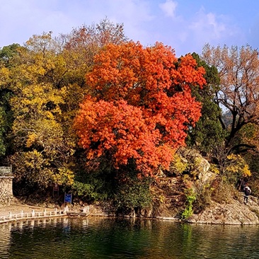 溪口古镇文昌阁 