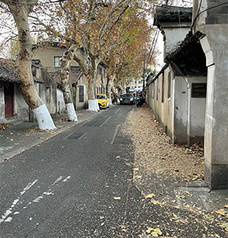 来晚了，永寿街的落叶已经被踩成粉末了