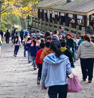 在天童寺看到了小学生秋游，十分有活力