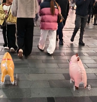 宁波现在都流行遛气球了吗？