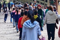 在天童寺看到了小學生秋游