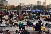 宁波这个特殊的早市很热闹