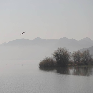 动静皆美，天地自由
