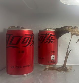 可乐爆炸后变成雕塑了