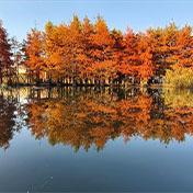 鄞州公园景色美不胜收