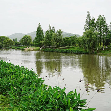 下畦村