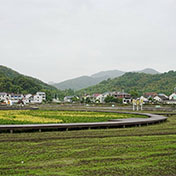 九龙湖村