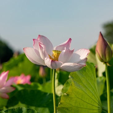 风景随拍
