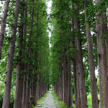 钱山漾