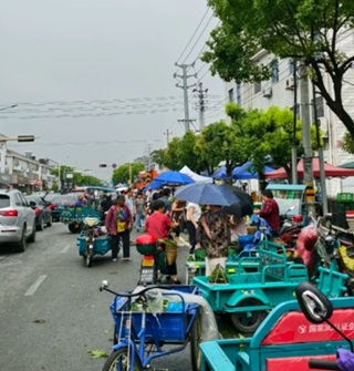 最近很多人去余姚三七市买杨梅，确实划算