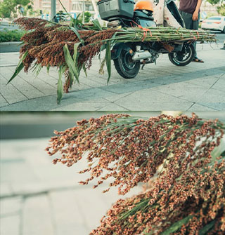 这道人间美味，至少一半宁波人没吃过