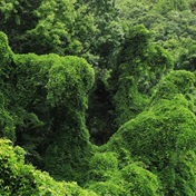 象山东旦绿野仙踪