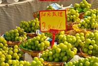 阳光玫瑰这么便宜却不想买
