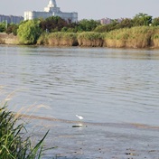 江边秋景