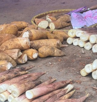 宁波真的任何季节都不缺笋