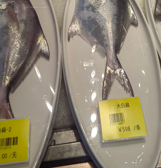 这鱼鳞再完整点，是不是价格还更加高呢？