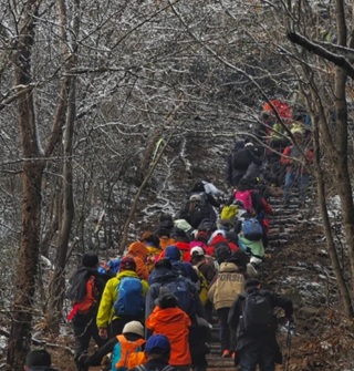 宁波山上下雪，很多人去奉化商量岗爬山徒步