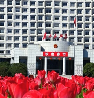 鄞州区政府门口的郁金香开得很好