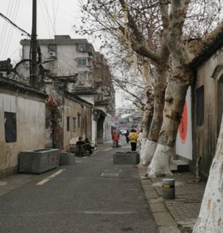 没有梧桐叶的永寿街看起来有点冷清