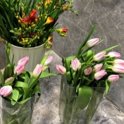 春天在家布置花园