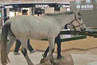 宁波商场现在都这么卷了吗