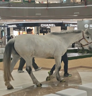 宁波商场现在都这么卷了吗？