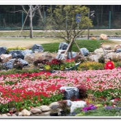 漫步在窑湖小镇上