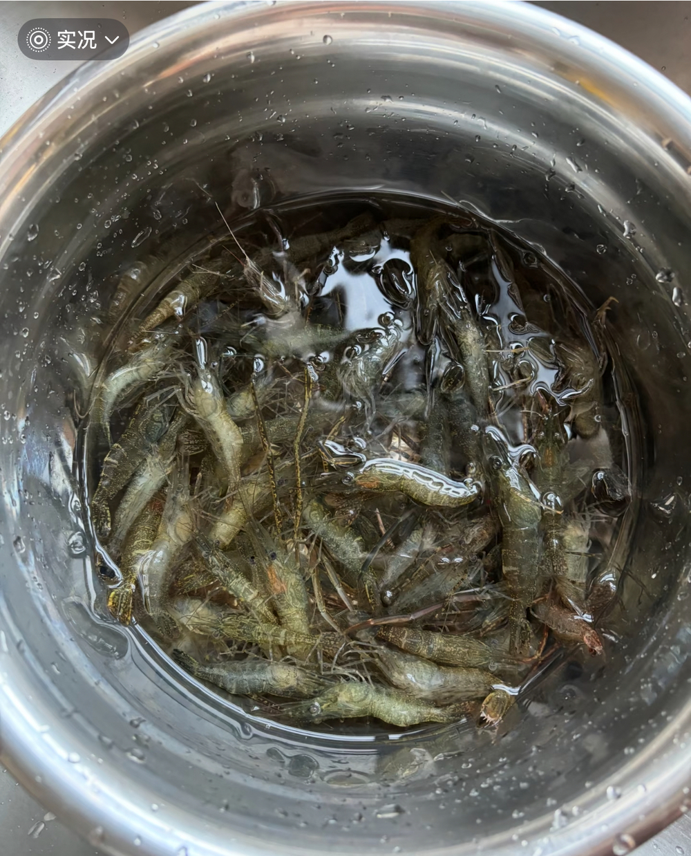 110一斤的河虾，野生的吗？