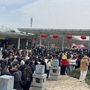 宁波植物园爆棚中