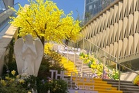 K11下沉广场挺好看的