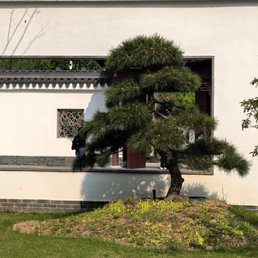 风景随拍