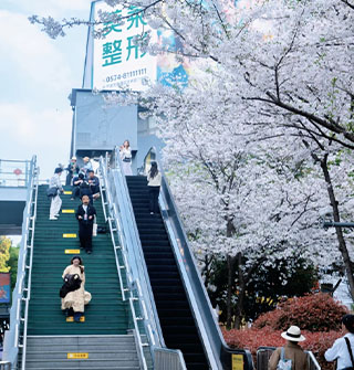 市区就能看樱花！这个电梯拍照太出片了