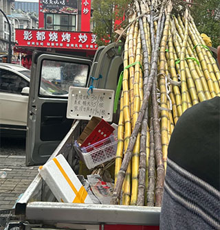 物价太离谱了，甘蔗都要35一根