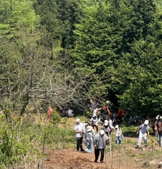 最近奉化的金峨山又成为了爬山顶流了