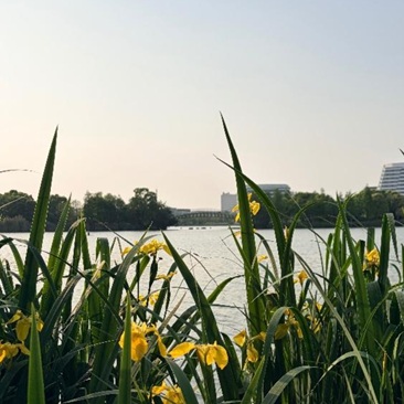 周末放空的日子