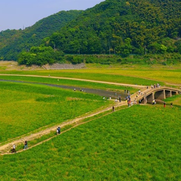 满湖春色关不住