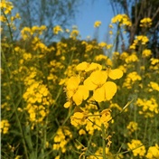 宁波高新区水韵公园