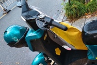 小遛竟然有“新皮肤”了