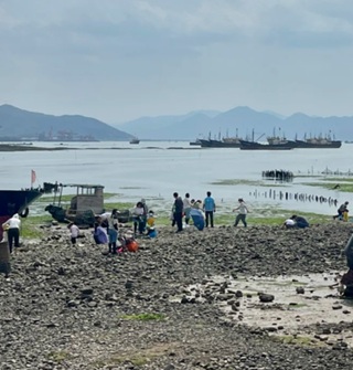 最近来宁波这里赶海的人好多！