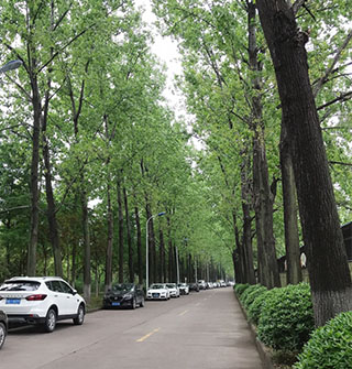 翻到老照片认不出，慈溪这条路你还记得吗？