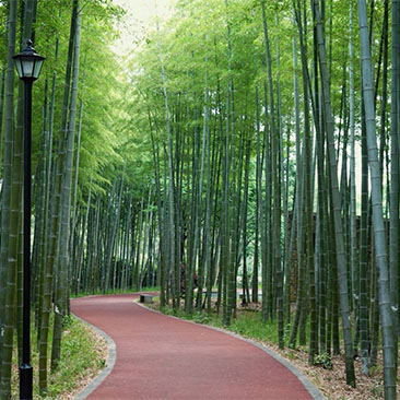 长兴川步村