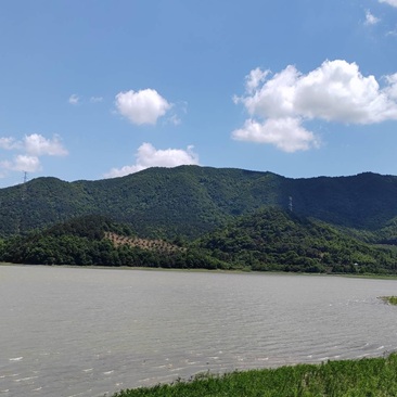 周末徒步之凤浦岙古道