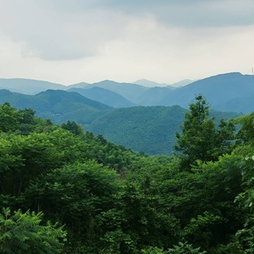 余姚燕窝云顶山