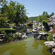 夏日的扬州