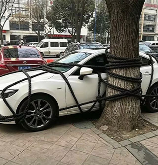 怕车被台风刮跑绑树上？