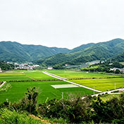 象山黄避岙乡骍角岙村