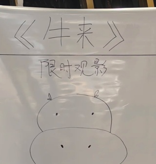 宁波的影院自己手绘《牛来》宣传海报